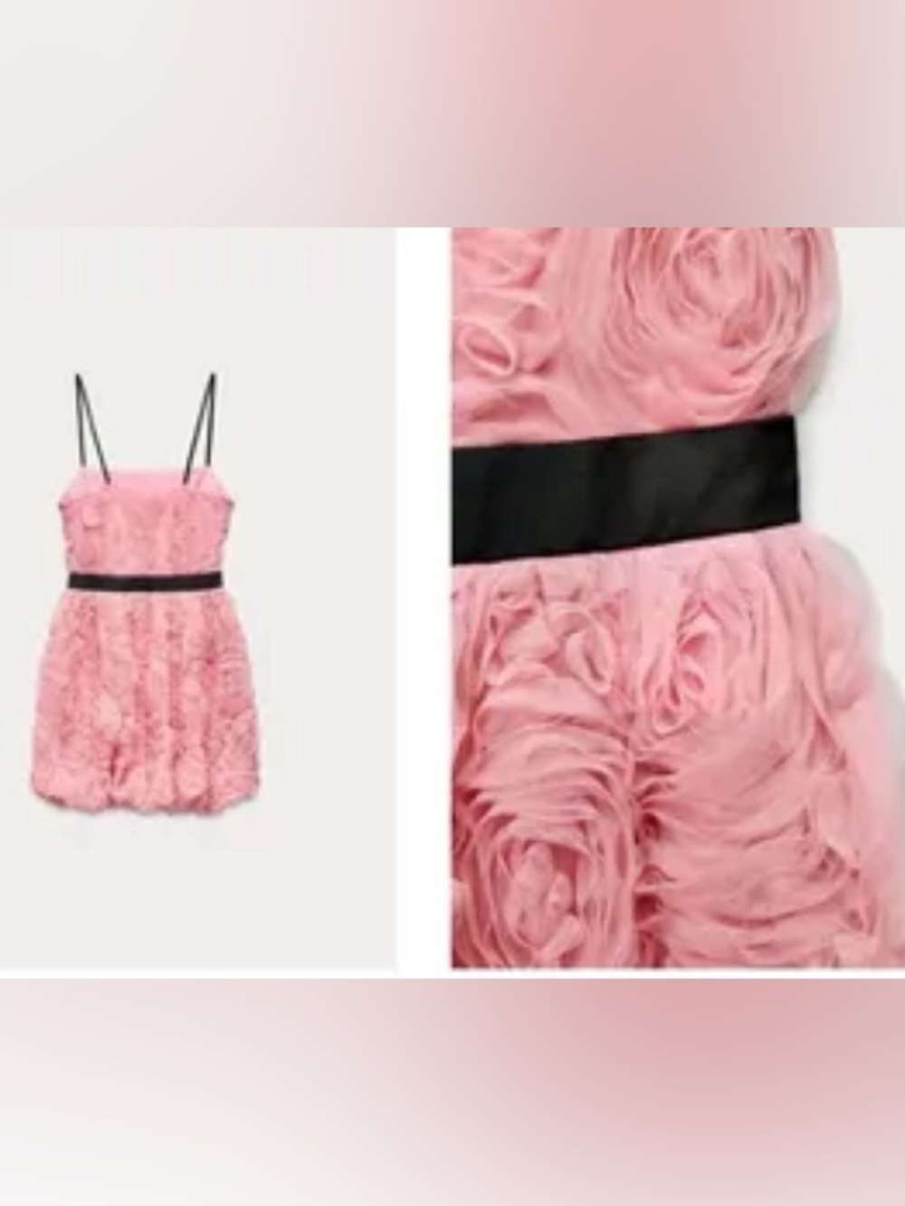 Zara pink ,Black Waistband  Structured Short Floral beautiful Dress Size XL